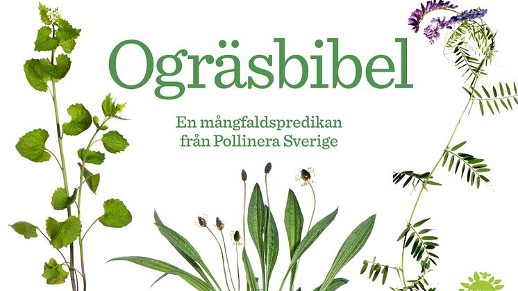 PR-bild Ogräsbibel 