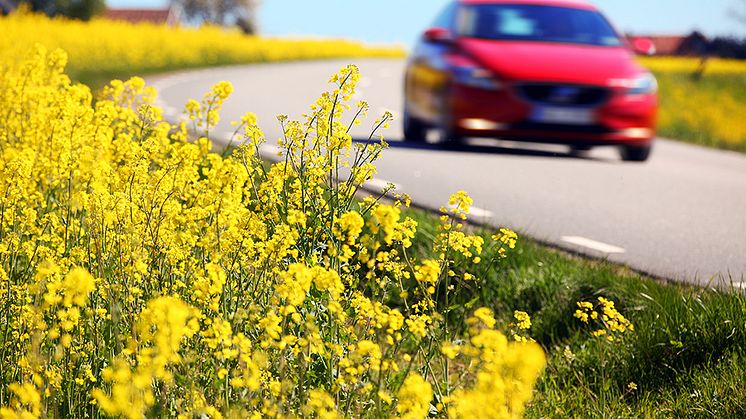 Drivmedelskriterier för minskad klimatpåverkan