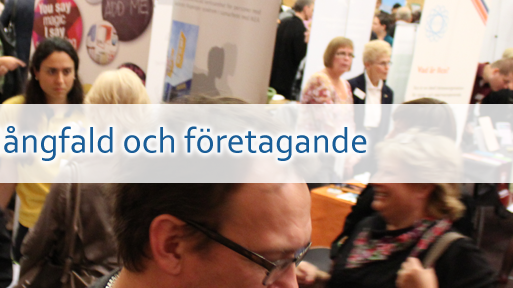 Konferens Mångfald och företagande 2013!