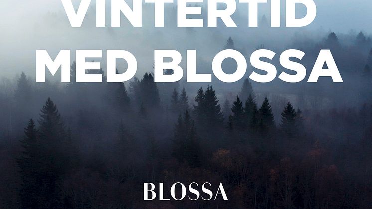 ​Sony Music och Blossa hyllar vintern i unikt samarbete!