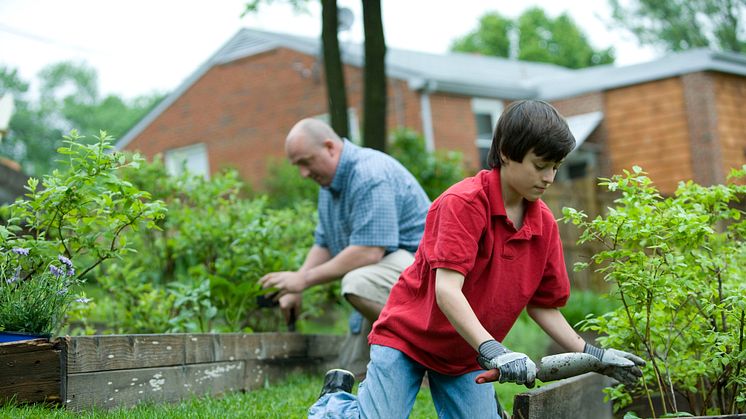 EXPERT COMMENT: How community gardening could ease your climate concerns