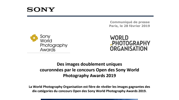 Des images doublement uniques couronnées par le concours Open des Sony World Photography Awards 2019