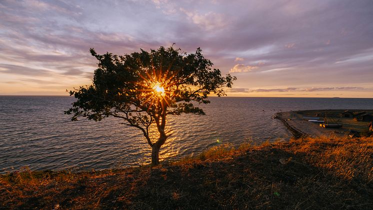 Norra Öland