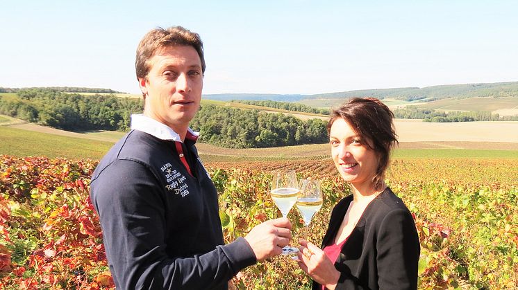 Premiär för unik Special Club-champagne gjord på 100 % Pinot Blanc