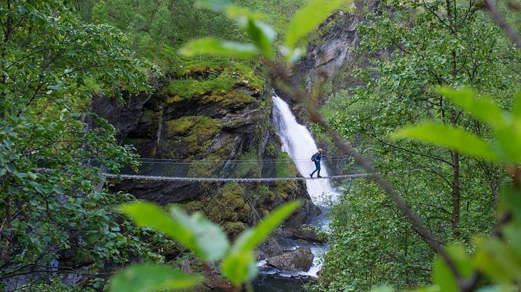 Rapportens forsidebilde er fra området i nærheten av DC2-Telemark i Rjukan. 