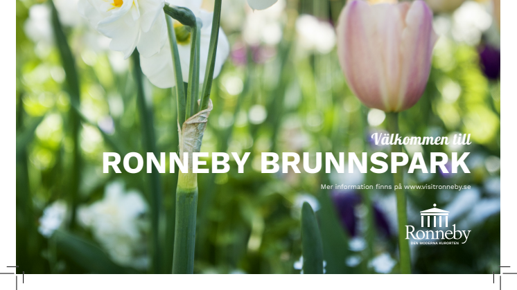 Ronneby Brunnsparks historia i korthet