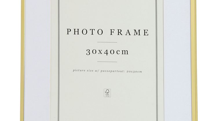 NYHET! Frame Tom 30x40 cm Gold 9,99  EUR.jpg