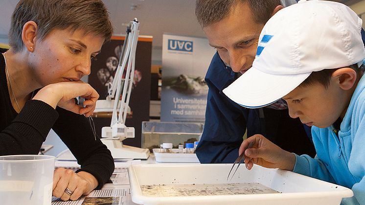 Det är många aktiviteter för både vuxna och barn då SLU bjuder in till Öppet campus på Ultuna i Uppsala den 30 september. Foto: Jenny Svennås Gillner, SLU.