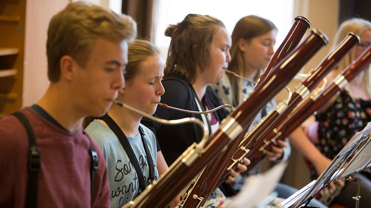 Valdres Sommersymfoni får støtte til et program som skal bidra til at flere musikere spiller på obo, fagott, harpe, kirkeorgel og kontrabass. (Foto: Tom Henning Bratlie/Valdres Sommersymfoni).