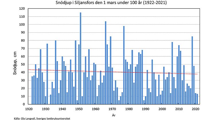 Diagrammet visar snödjupet den 1 mars under den 100-åriga perioden 1922–2021. Det genomsnittliga snödjupet har minskat från 43 cm till 38 cm under dessa år. Det minsta snödjupet uppmättes 1932 och det största snödjupet uppmättes 1951.