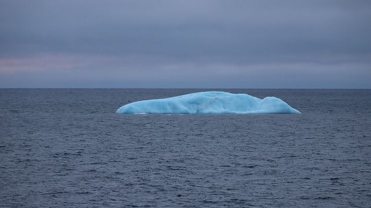 Iceberg in St. Anna