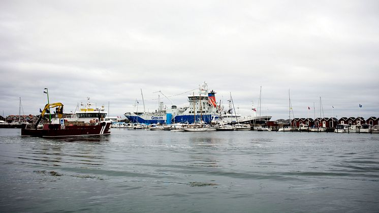 Pressinbjudan: En av nordens största mässor äger rum på Göteborgs-ön Donsö 