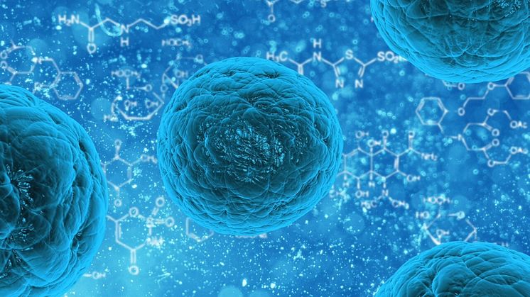 Vetenskapsrådet tilldelar medicinsk forskning vid Umeå universitet73,1 miljoner kronor 2022, inom ämnesområdet medicin och hälsa. 