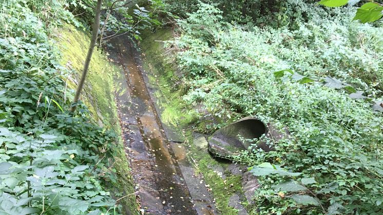 Skötselplanerna av dagvattensystemet på Långeberga kommer att ses över för att förhindra att dagvattnet påverkar natur och djurliv i Råån. 