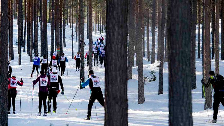 Kortvasan blir Vasaloppet 30 och Halvvasan blir Vasaloppet 45 