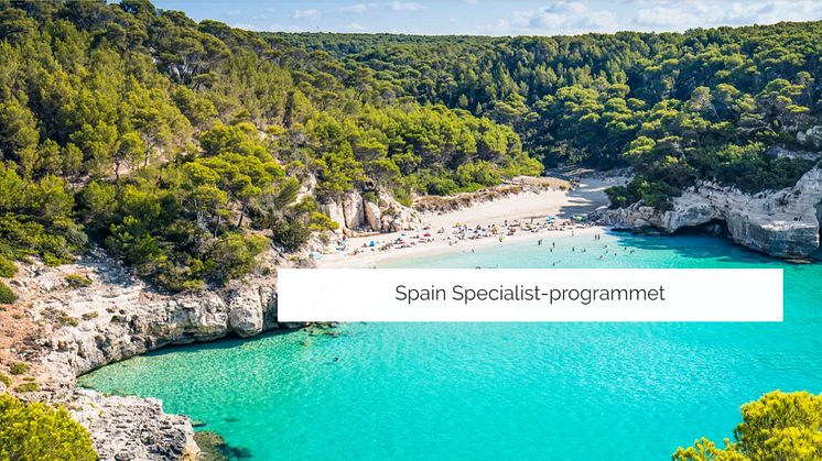 Bli expert på Spanien med ny utbildning online
