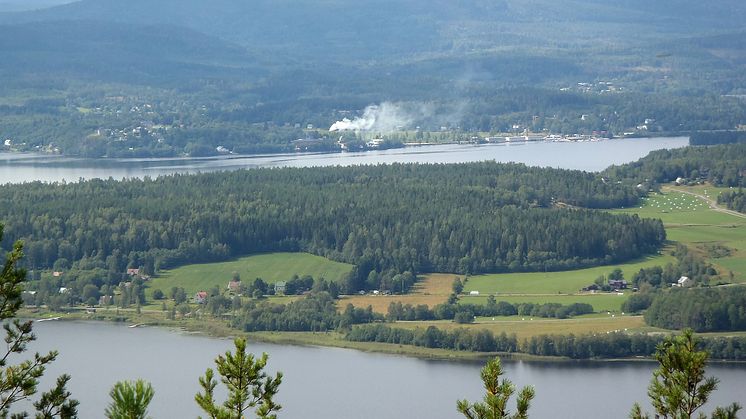 Fyra professurer inom skogs-, jord- och trädgårdsbruk, husdjursskötsel och veterinärmedicin, jakt och renskötsel samt fiske och vattenbruk.