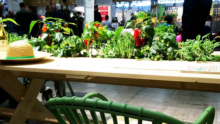 Rufsigt romantiskt eller färgstarkt exotiskt?