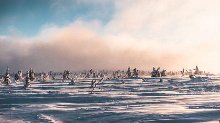 Sälen snö januari 2021