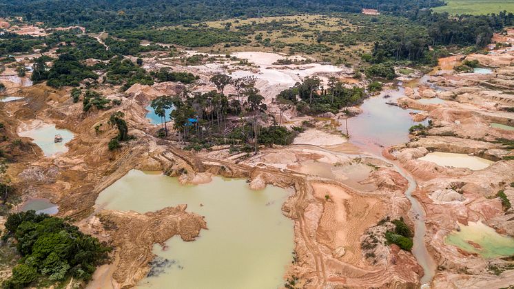 Skovrydning i den brasilianske del af Amazonas er blevet dramatisk forværret på grund af ulovlig skovhugst og minedrift. Foto: Shutterstock