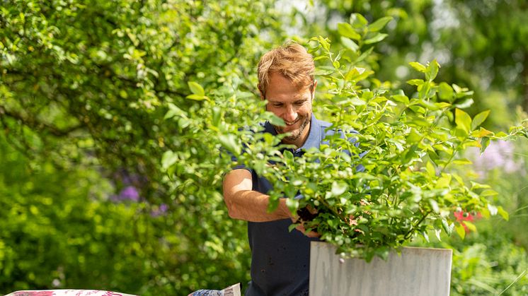 Fördert mit ihrem sauren pH-Wert gesundes Wachstum von Heidelbeeren im Balkonkübel: die vegane Bio-Erde Sauer! von Floragard. 