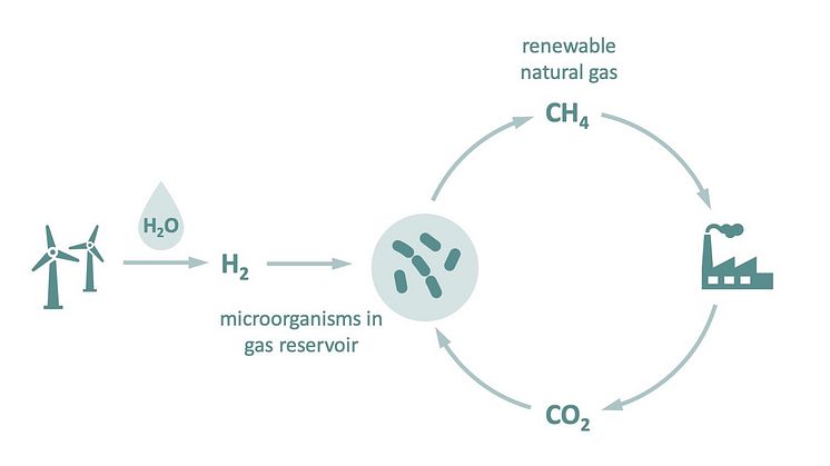 Schaubild der im Text erklärten Untergrundmethanisierung bei der mithilfe von Microorganismen aus Wasserstoff (H2) und Kohlenstoffdioxid (CO2) Methan (CH4) wird.