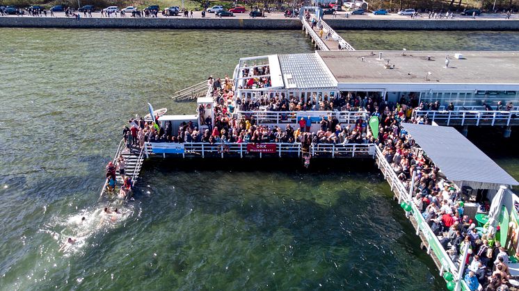 Viele Wagemutige trauen es sich, bei frühlingshaften Temperaturen in der Kieler Förde zu schwimmen. 