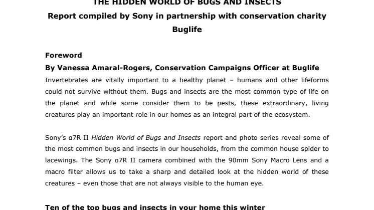Buglife-järjestön ja Sonyn raportti (englanninkielinen)