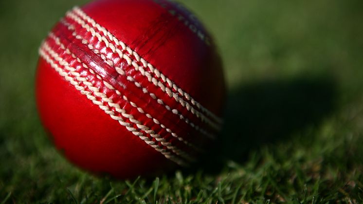 ECB Announces Delay To Professional Cricket Season