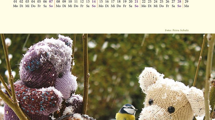 Bärenherz-Kalender für 2016 verfügbar