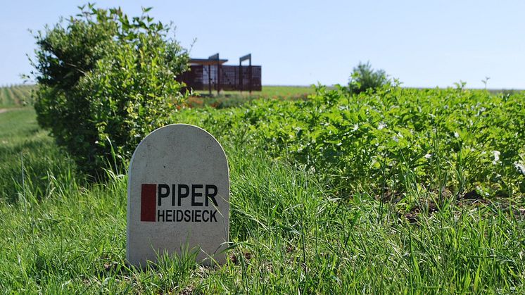 Piper Heidsieck vingård i Verneuil