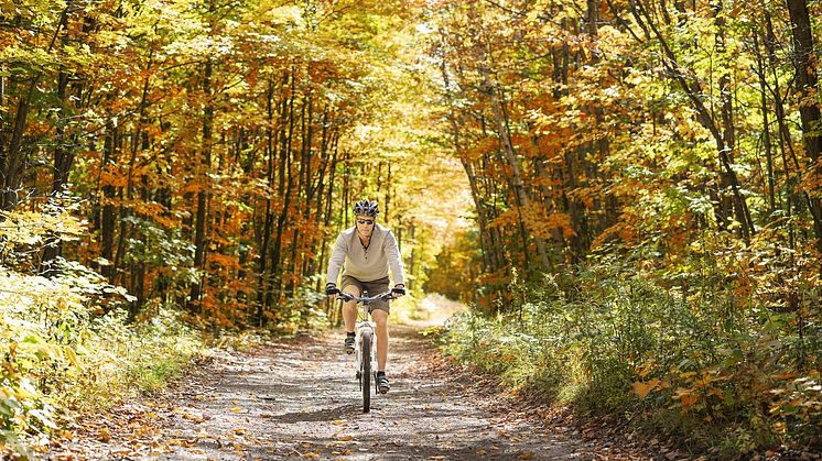 Cykelhysteri i Sverige trots höstens ankomst