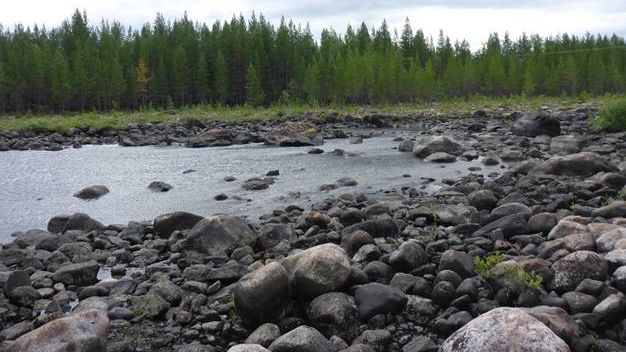 Grundforsens torrfåra, Umeälven. Foto: Åsa Widén