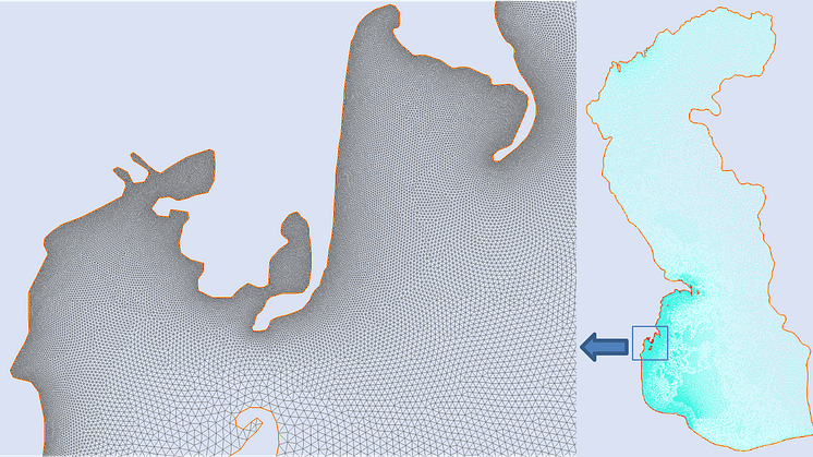 Overview of the Caspian Sea unstructured grid. The grid has highest resolution in the western side, where Kura River introduce plastics to the sea.png