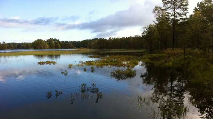 Boksjön, nytt naturreservat