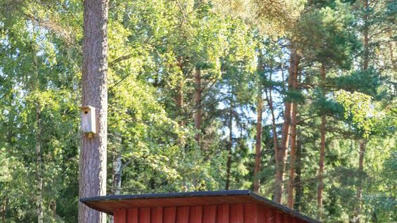Tusentals nya reningsverk i Stockholms skärgård – få boendetips på Hem & Villa Utemiljö
