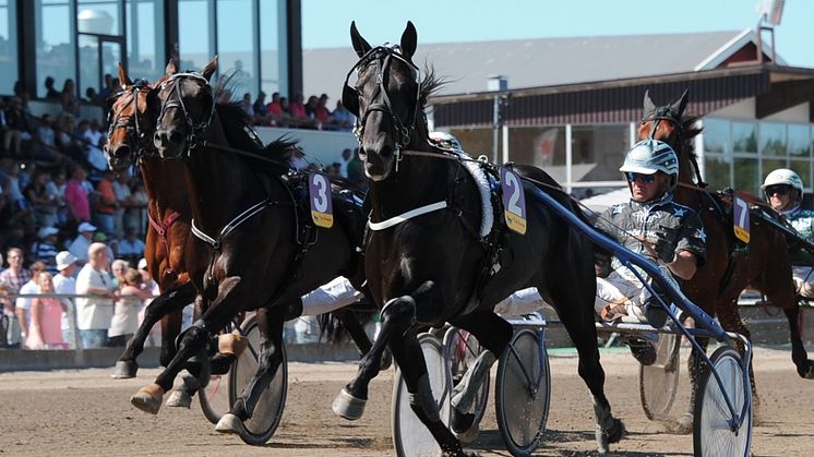 Travets tävlingskalender för 2015