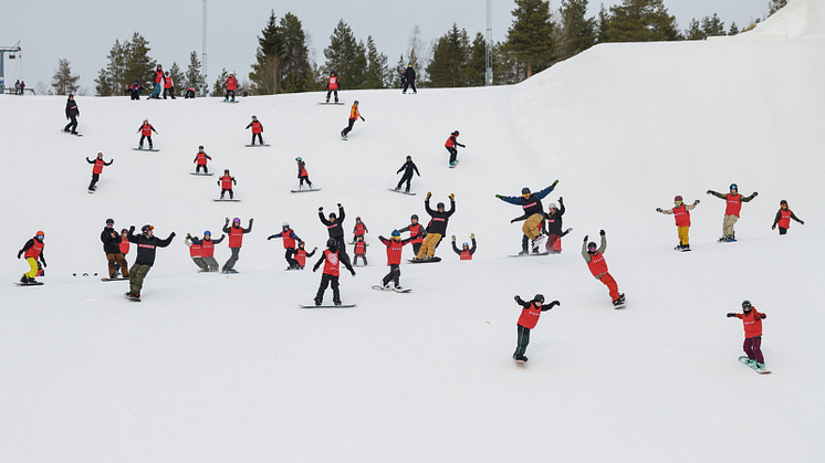 Foto: Max Månsson. 