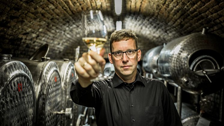 Tesch 2019 Löhrer Berg - fokuserad och generös Riesling