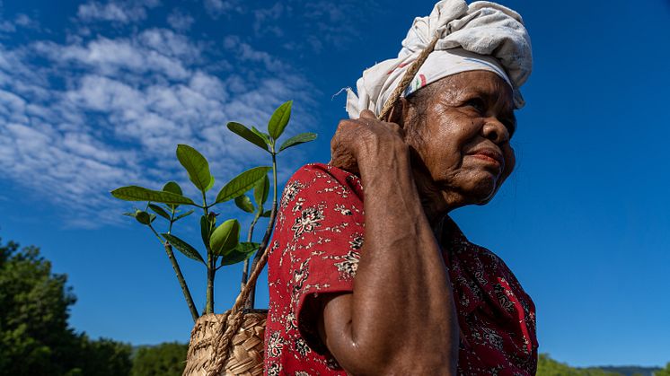 Photo: UNDP Timor-Leste/Yuichi Ishida