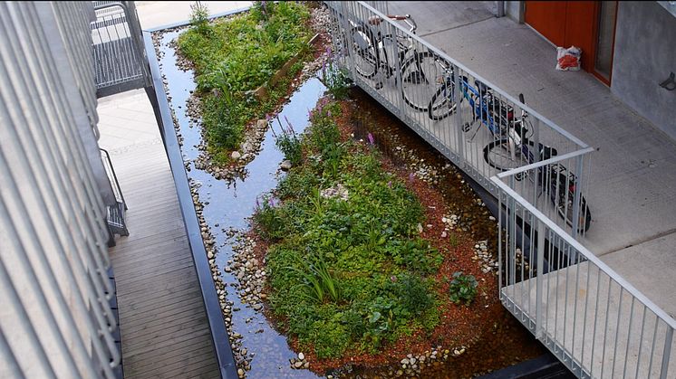  Blågröna system buffrar regnvatten, avlastar det kommunala dagvattennätet och minskar därmed risken för översvämningar. Foto: SGRI