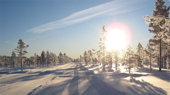 Ska du åka till fjällen under Vasaloppsveckan? 