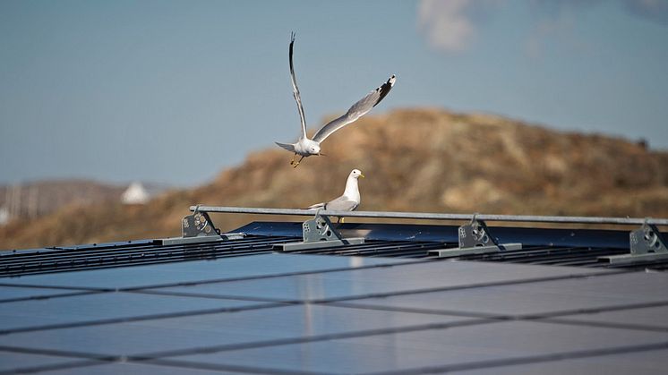 OKQ8:s affärsområde Sunday har inlett ett samarbete med VA-avdelningen i Tjörns kommun om att installera solceller på Tjörns reningsverk.