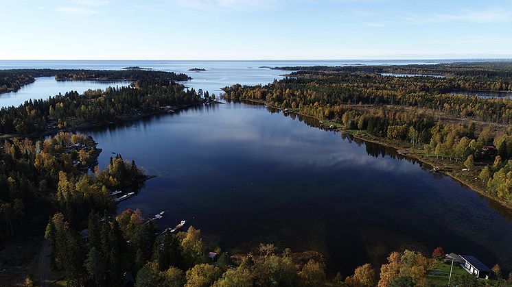 Flador är grunda havsvikar som med landhöjningen blir avsnörda från havet. Flador är viktiga reproduktionsområden för varmvattenfiskar men många är också kraftigt påverkade av människan. Bild: Anniina Saarinen/Länsstyrelsen Västerbotten