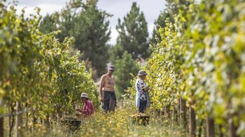 ﻿﻿Quinta de Santiago