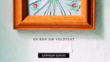 Voldtektsmytene knuses i ny bok 