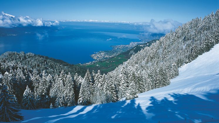 Blick auf Genfersee aus der Zahnradbahn zum Rochers-de-Naye © Schweiz Tourismus_Fotograf Stephan Engler