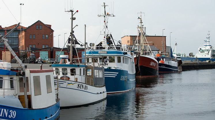 HaV föreslår nu att ett system med överlåtbara och individuella fiskerättigheter införs i det demersala fisket, alltså fisket efter bottenlevande arter.