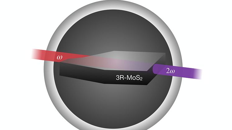 A new bidimensional semiconductor shows the highest nonlinear optical efficiency over nanometer thicknesses