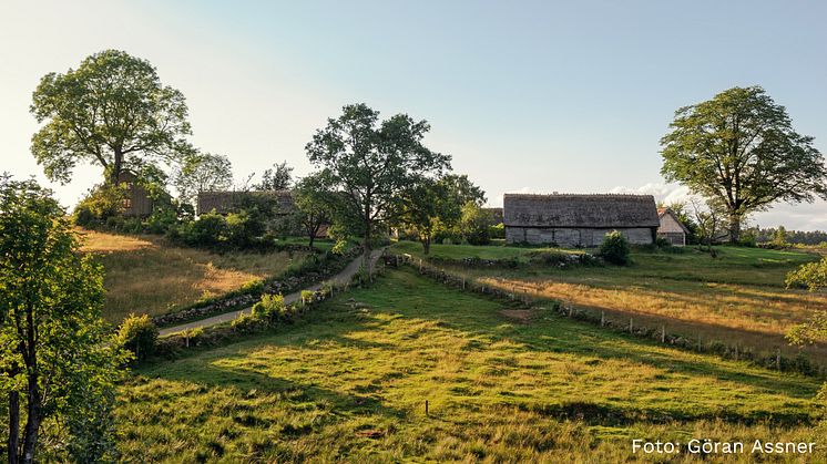 Pressmeddelande, foto Göran Assner